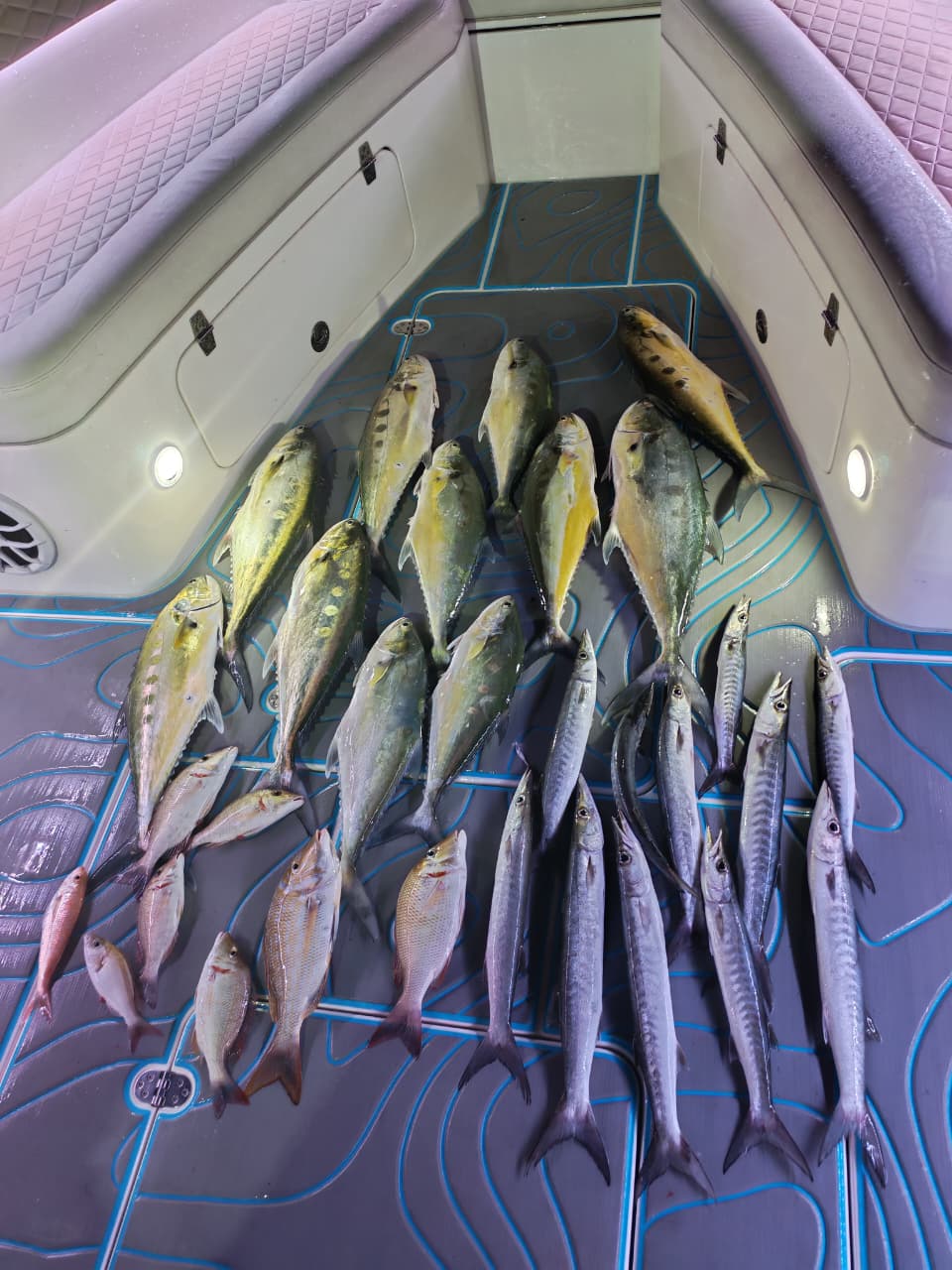 Ocean waves boat rental
