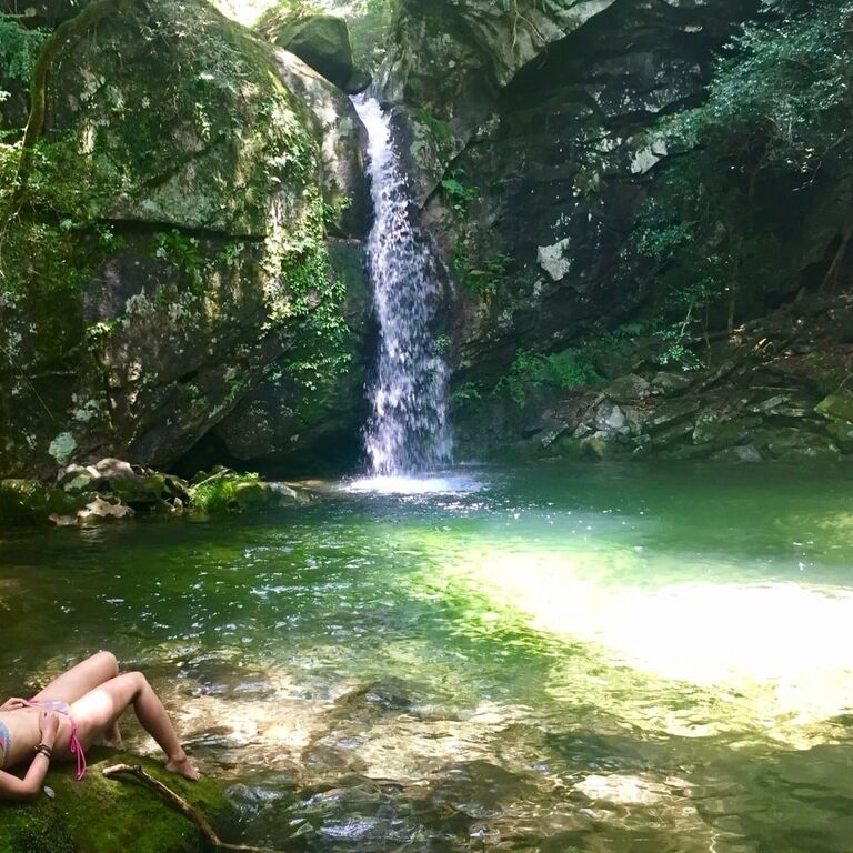 Unbeaten Japan Nature Tours