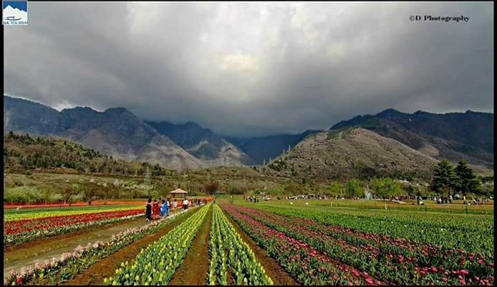 Cne Holidays Tour & Travels