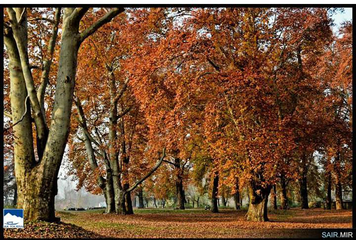 Cne Holidays Tour & Travels