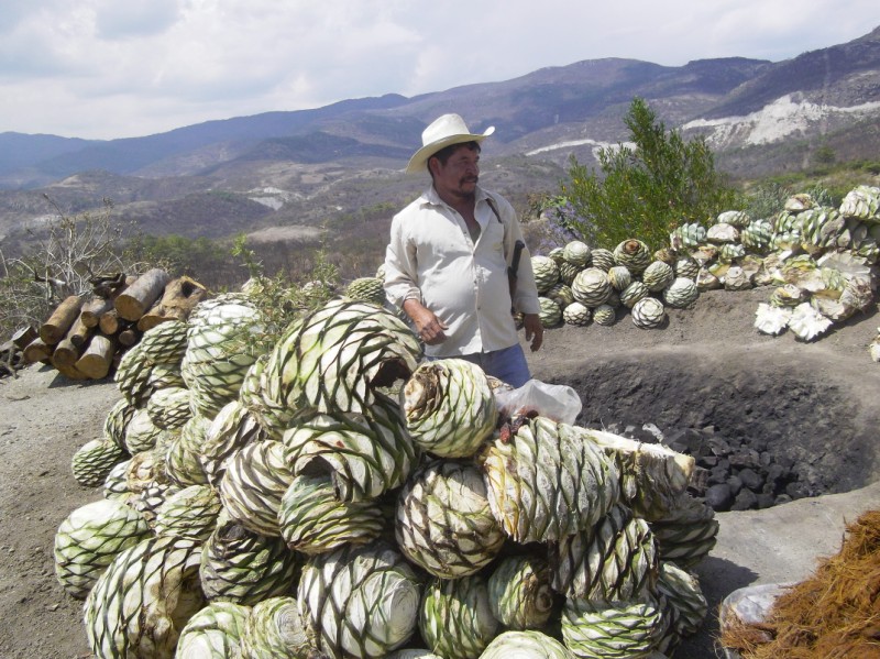 Mezcal Educational Tour Oaxaca