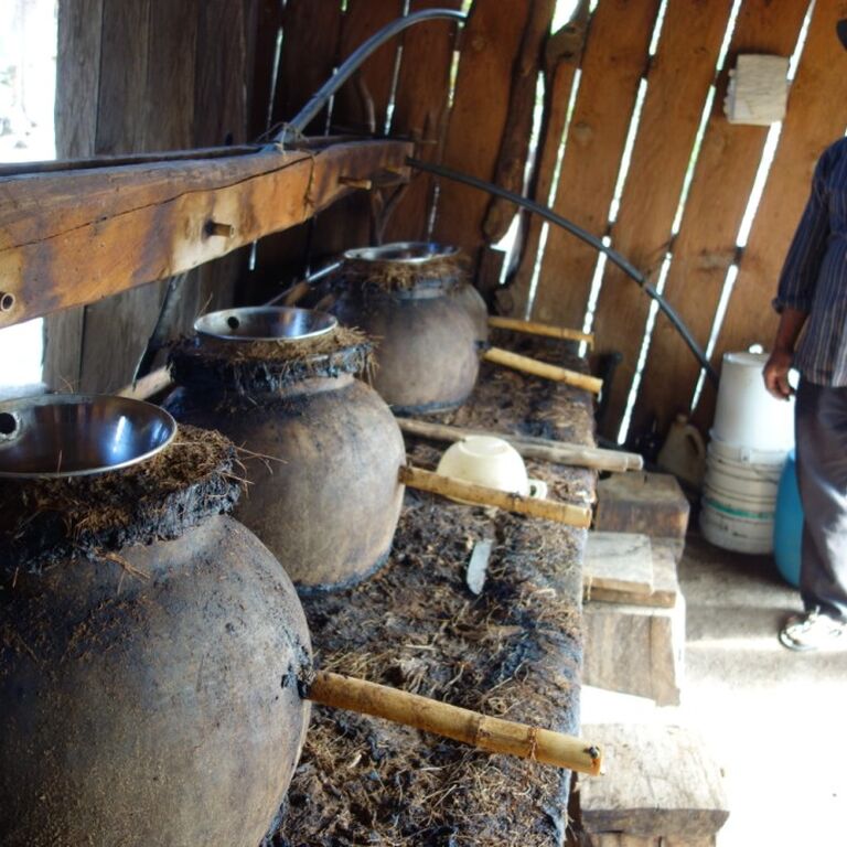 Mezcal Educational Tour Oaxaca