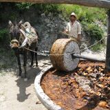 Mezcal Educational Tour Oaxaca