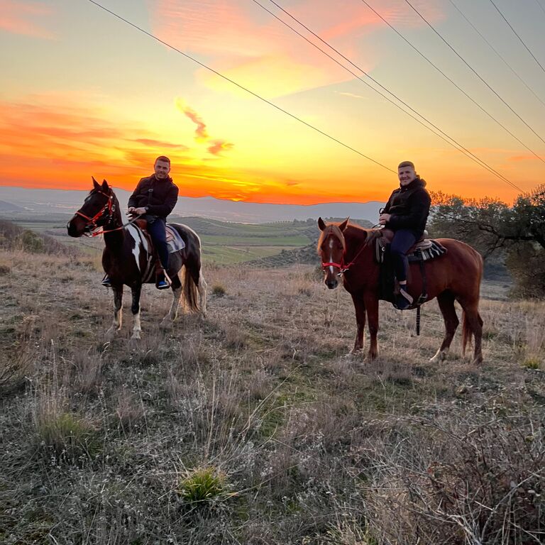 Horse Farm Santo