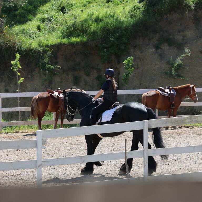 Horse Farm Santo