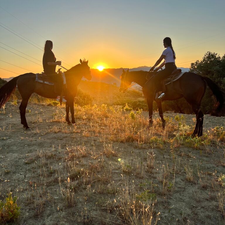Horse Farm Santo
