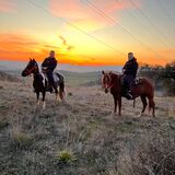 Horse Farm Santo