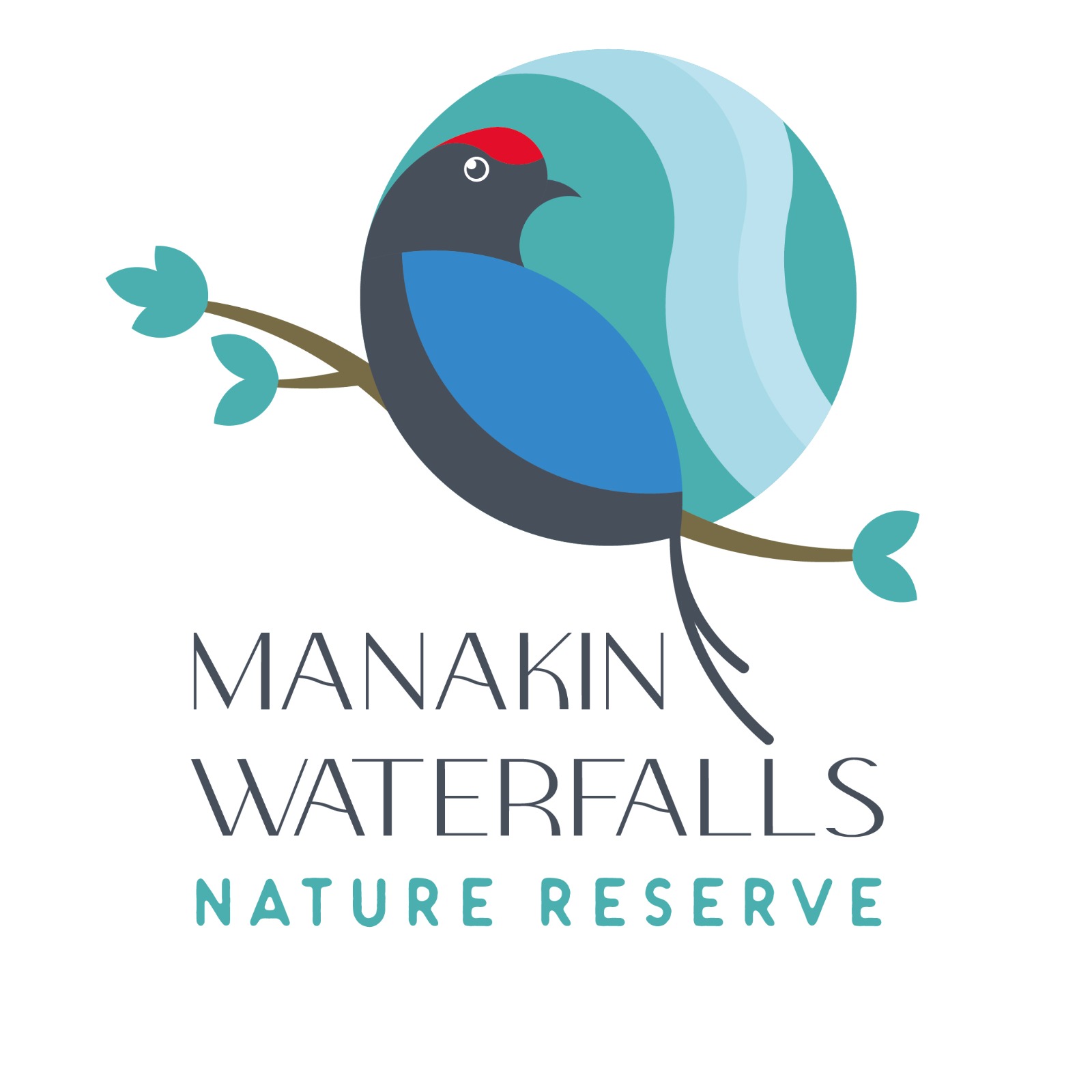 Manakin Waterfalls Nature R