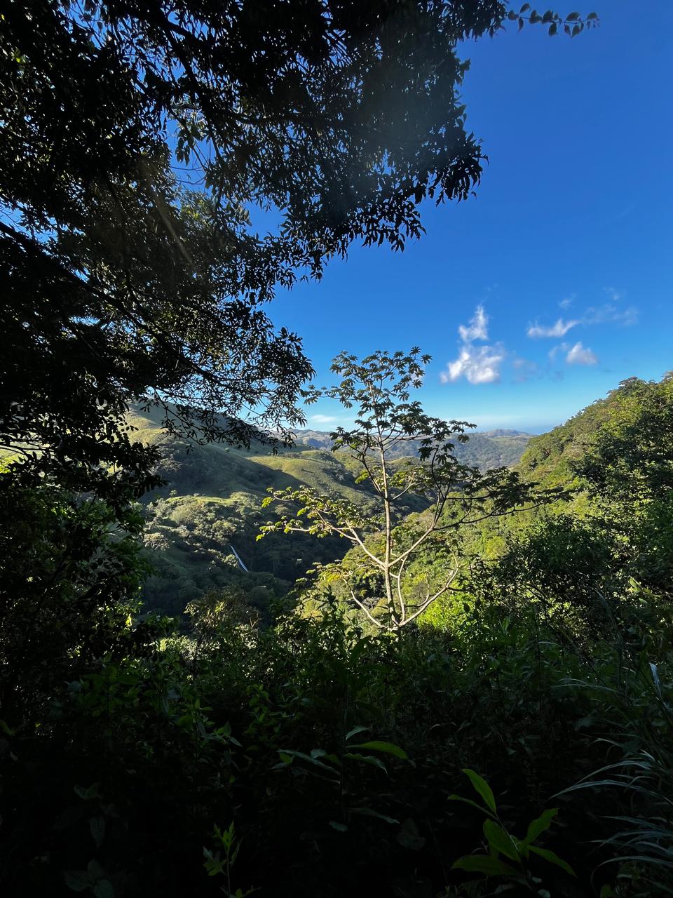 Manakin Waterfalls Nature R