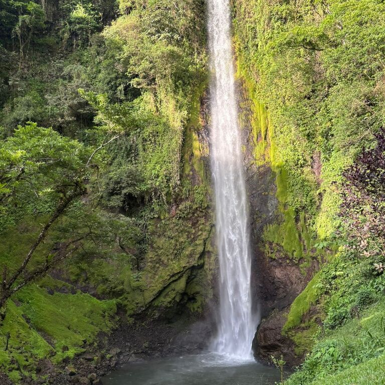 Manakin Waterfalls Nature R