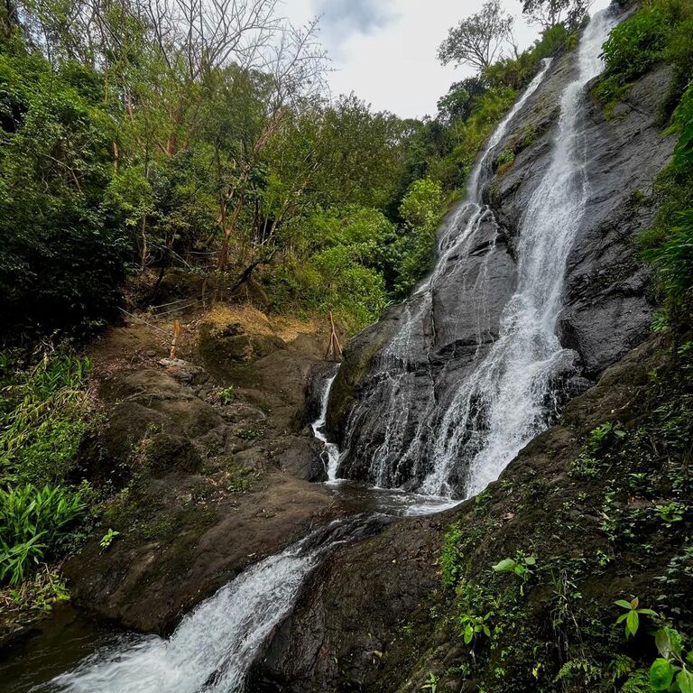 Manakin Waterfalls Nature R