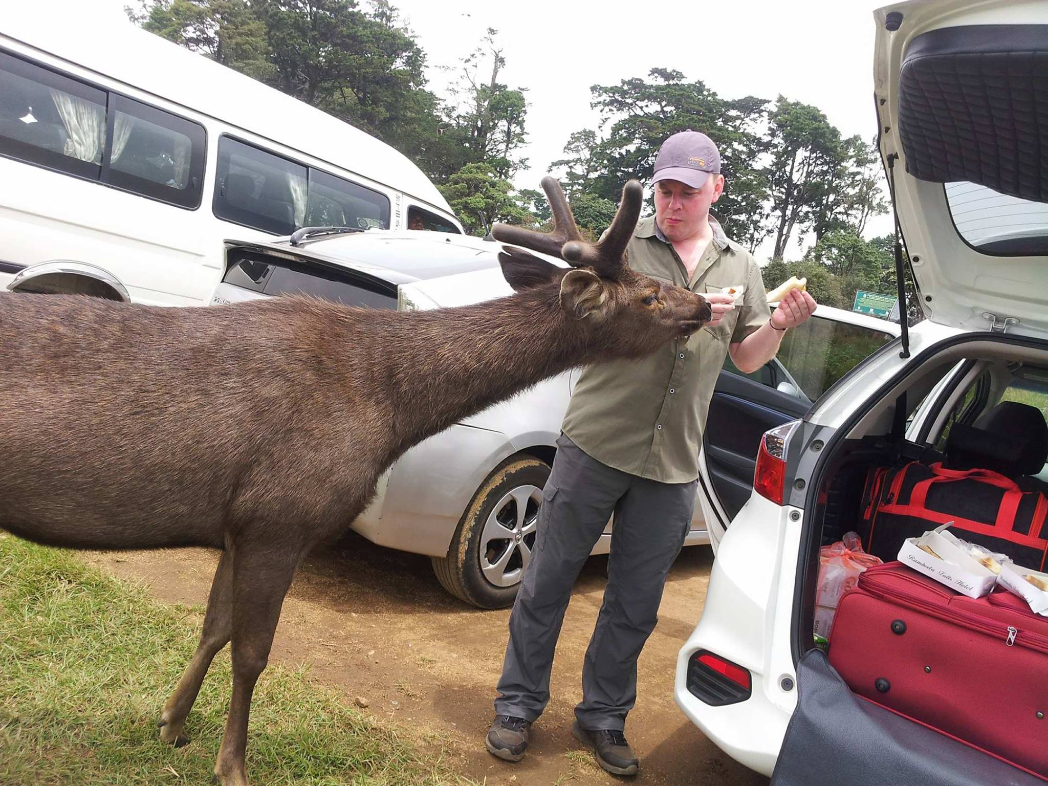 Let's See Asia Pvt Ltd