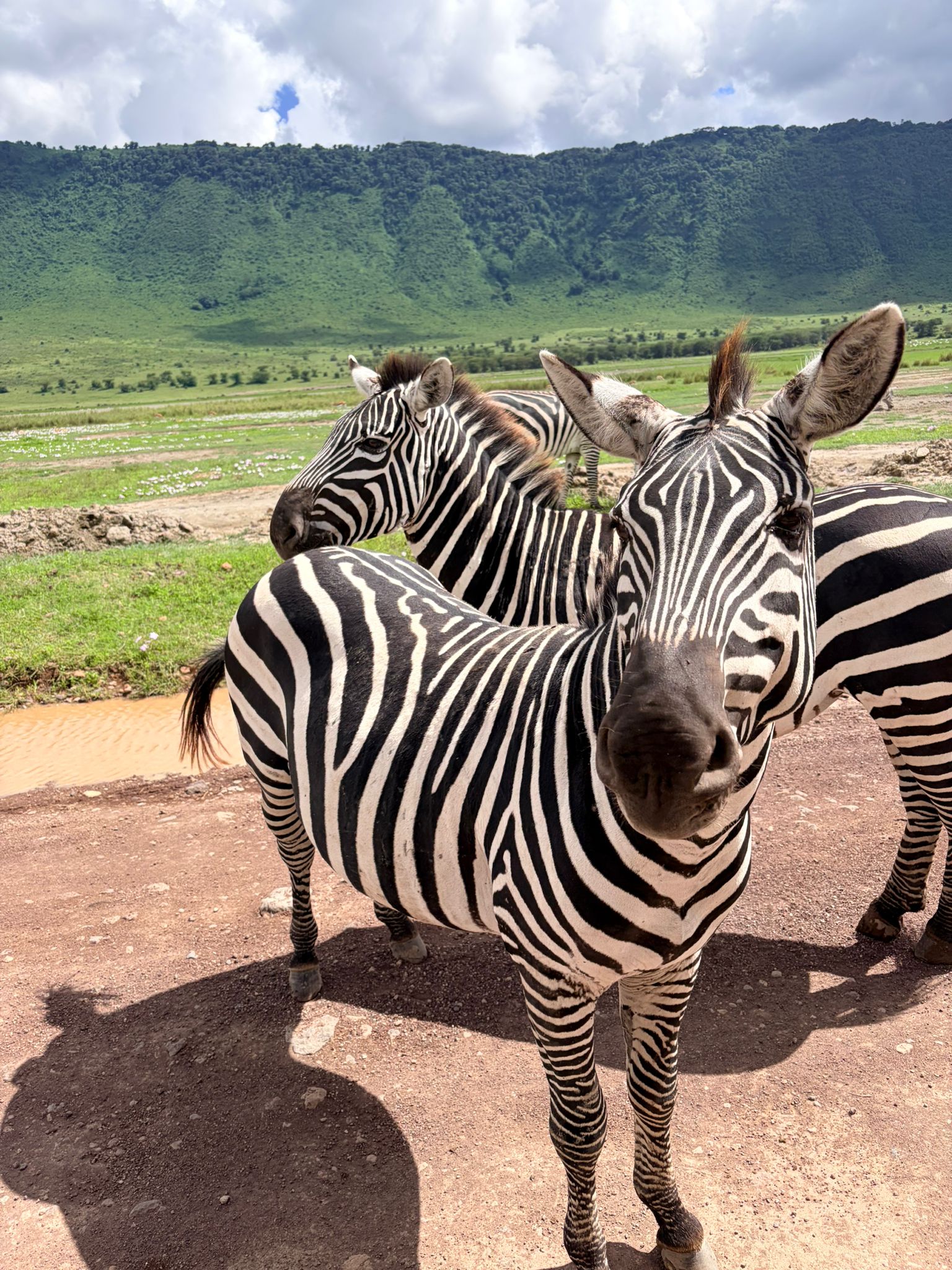 DOCILE TANZANIA ADVENTURE