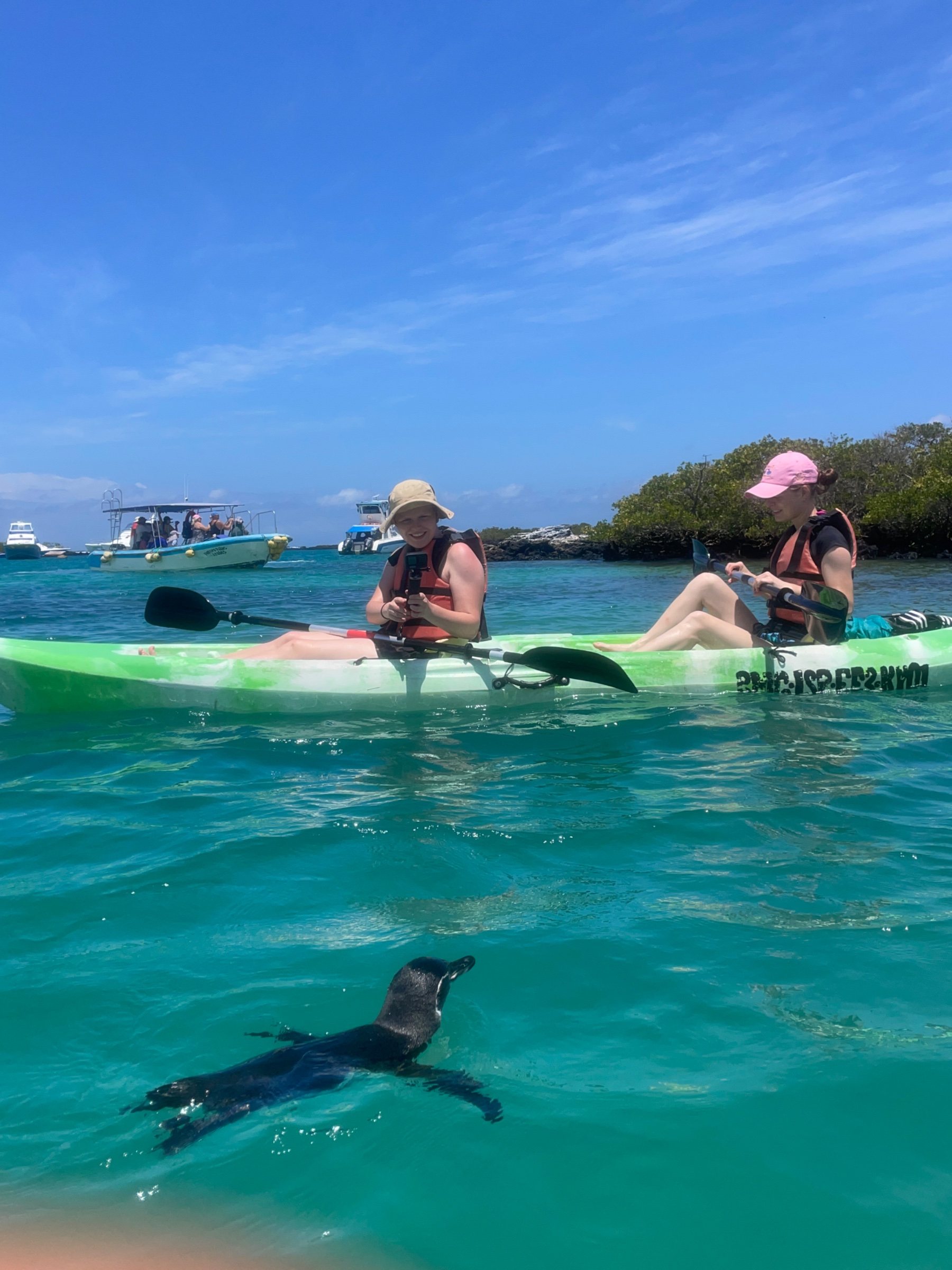 Kayak Trica Tintoreras