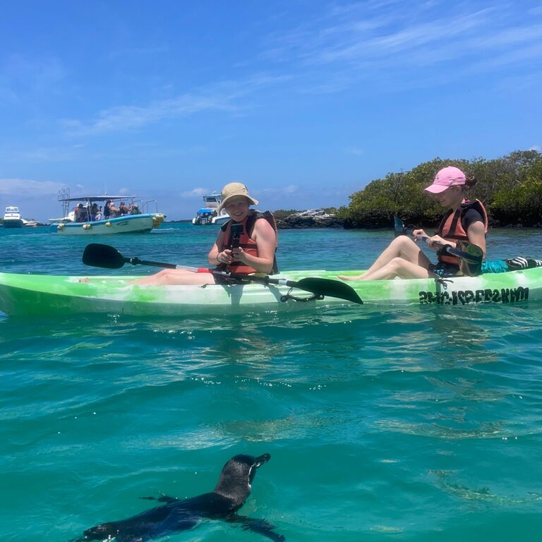 Kayak Trica Tintoreras