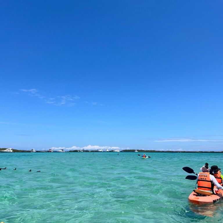 Kayak Trica Tintoreras
