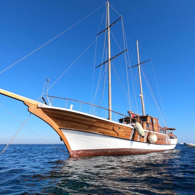 Non Solo Charter di A. Pisano