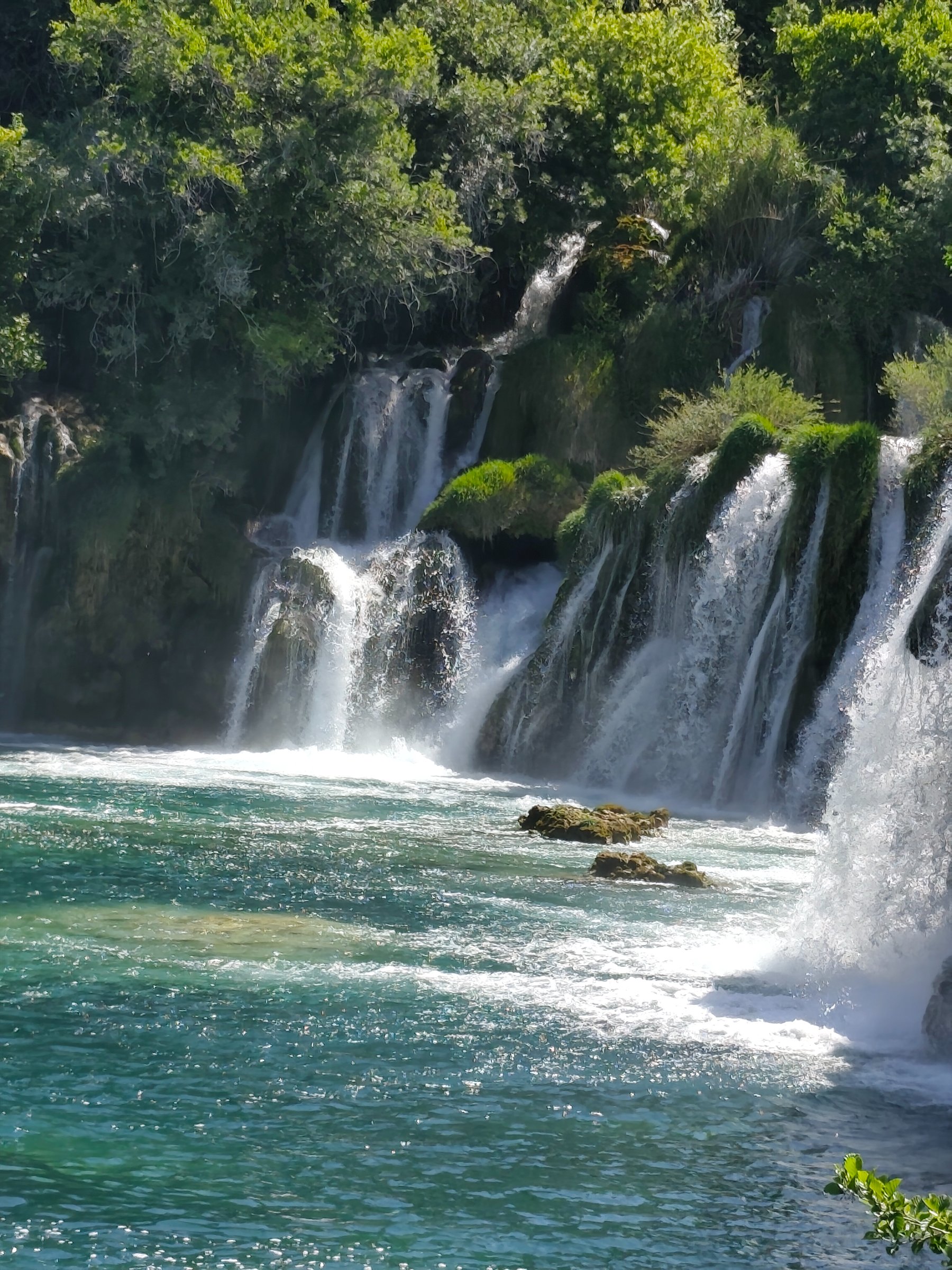 E travel tourist agency