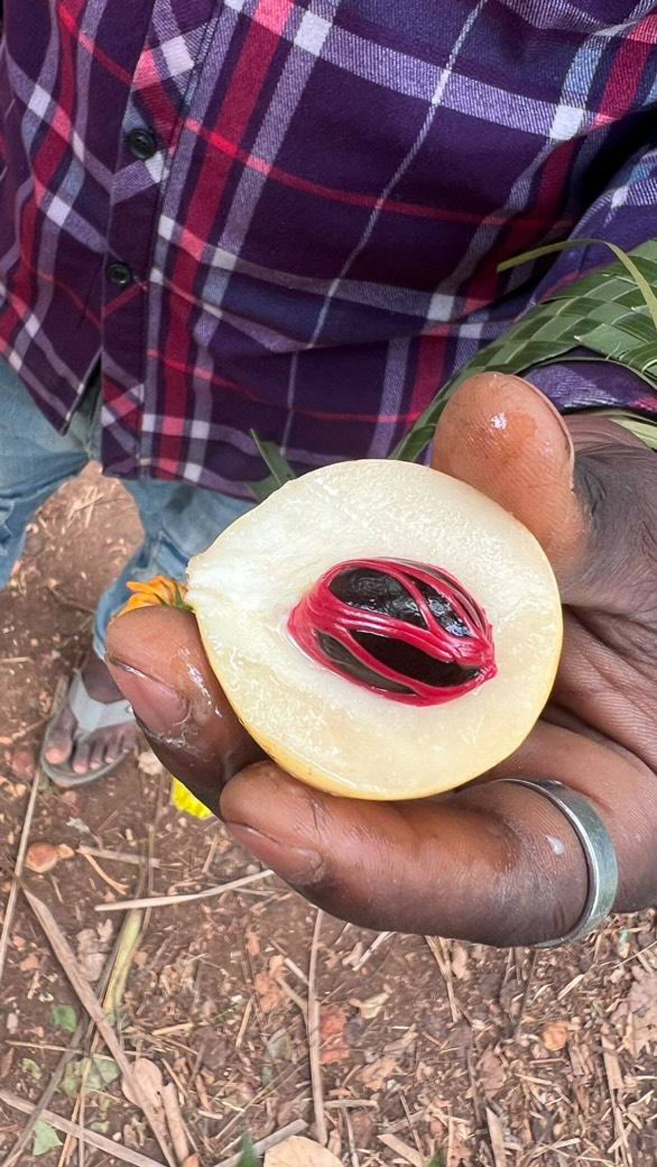 Spice Tour with Cooking Class