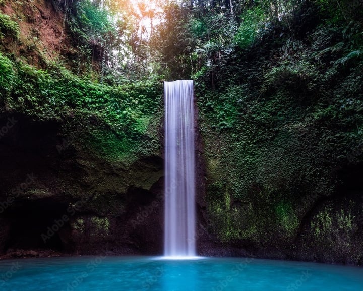 B Bali Tour & Travel