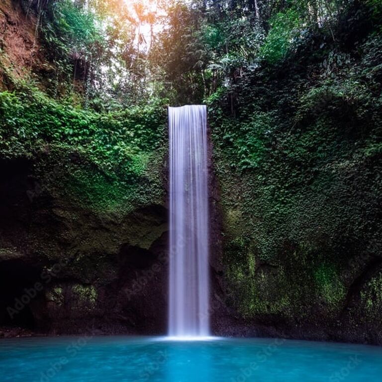 B Bali Tour & Travel
