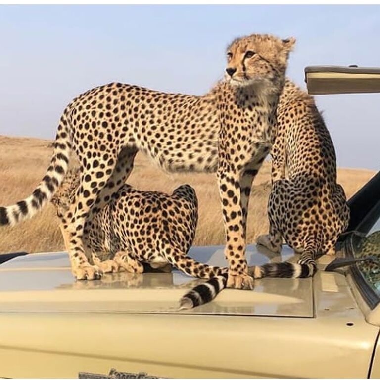Munoma Africa Safari