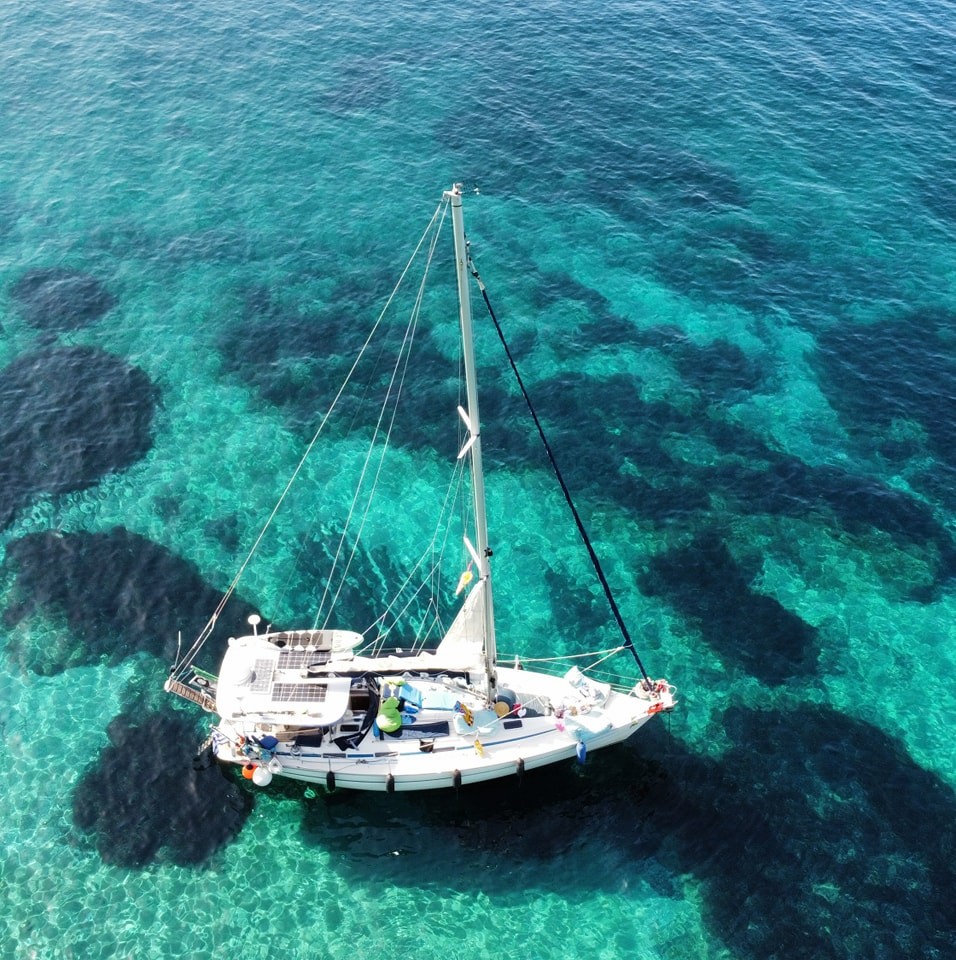 Argo George Mary ❤️