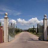 AZIENDA AGRICOLA CASA DIVINA P