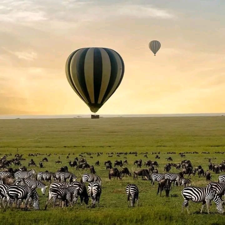 AK AFRICAN TOURS & SAFARIS LTD