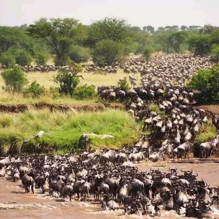 AK AFRICAN TOURS & SAFARIS LTD