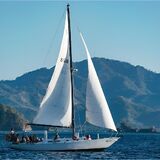 Surfari del Mar Sailing