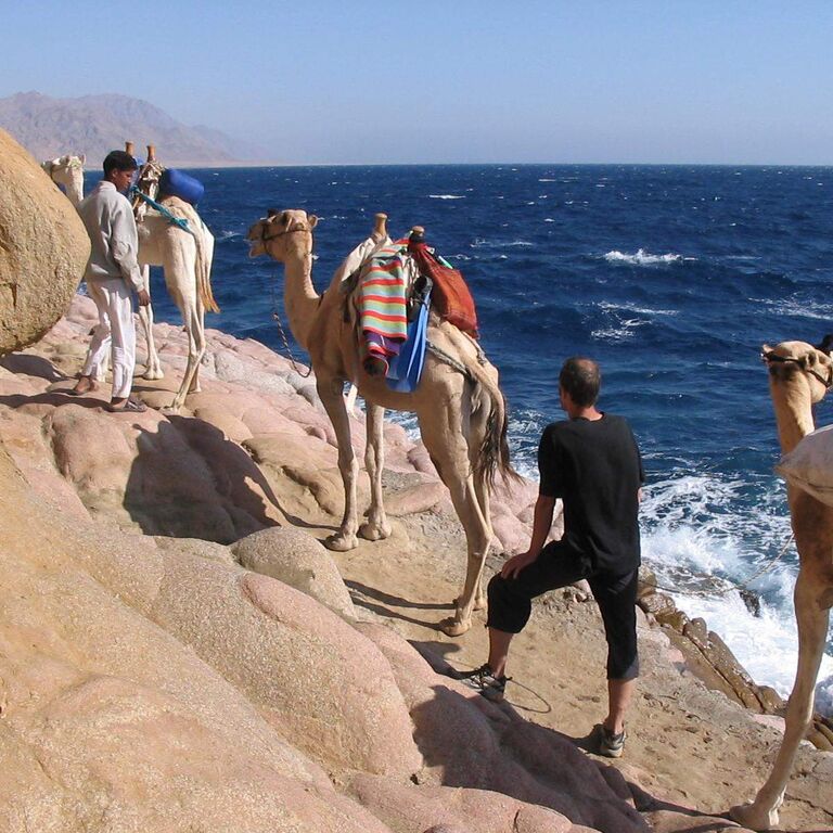elite tours