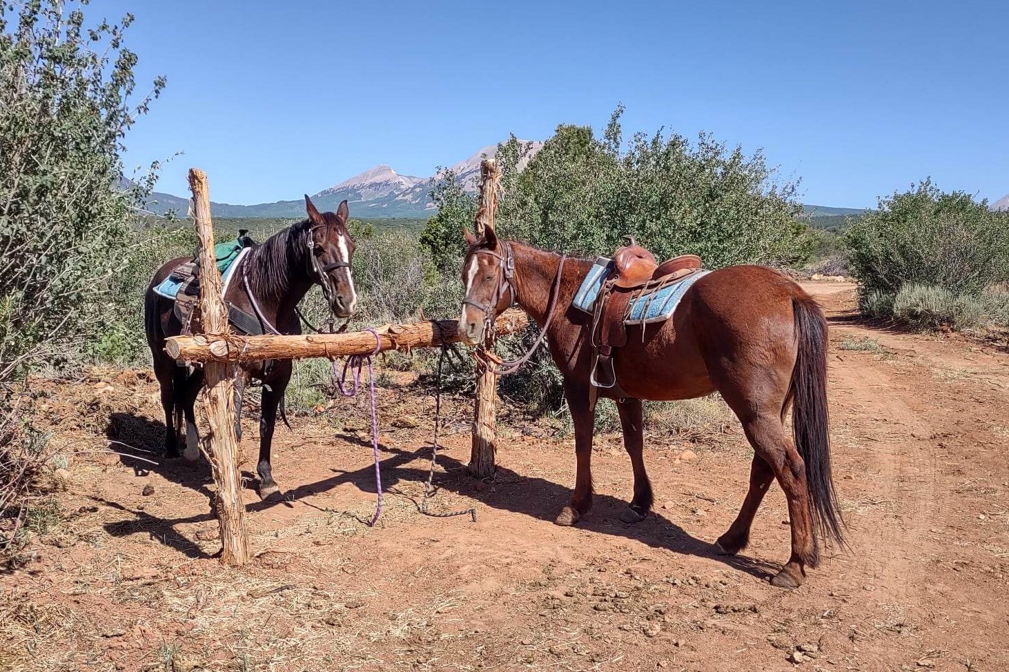 Mountain Joe's Trail Rides