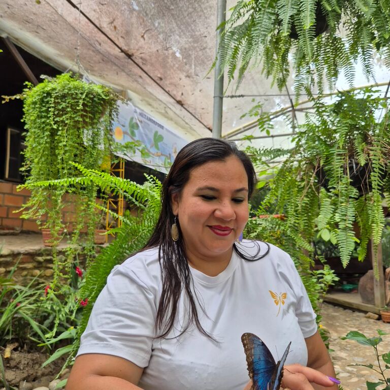 Butterfly Garden