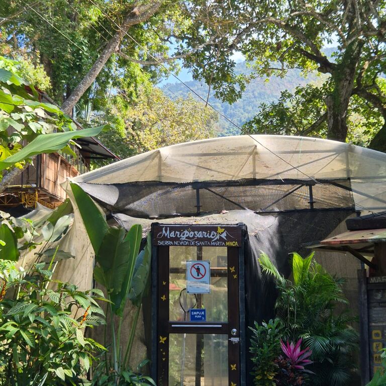Butterfly Garden