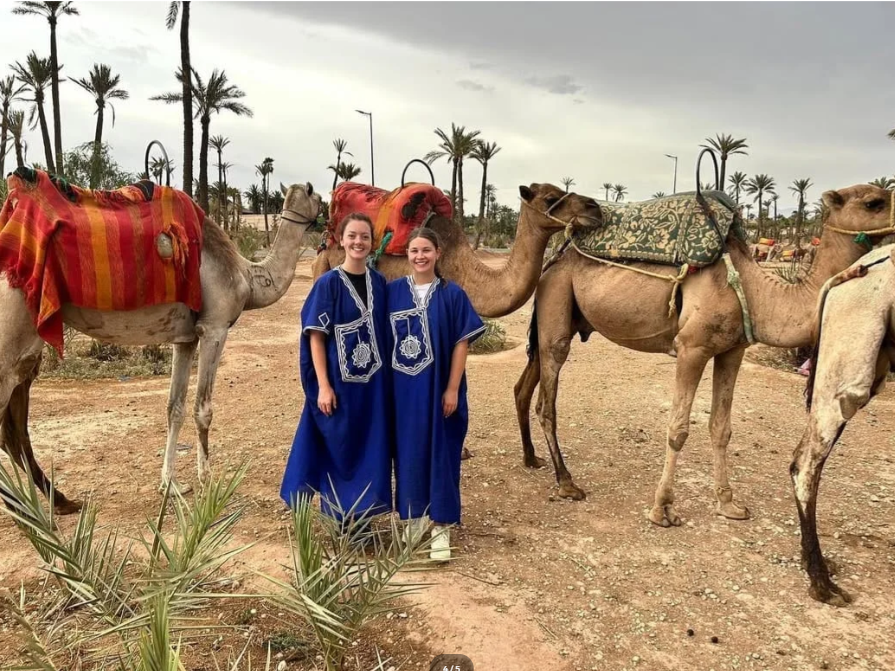 Experience  Marrakech