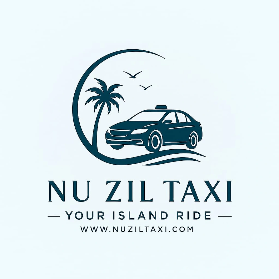 Nu zil taxi