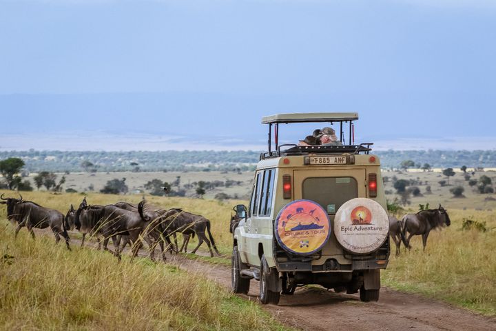 EPIC ADVENTURE CO.LTD