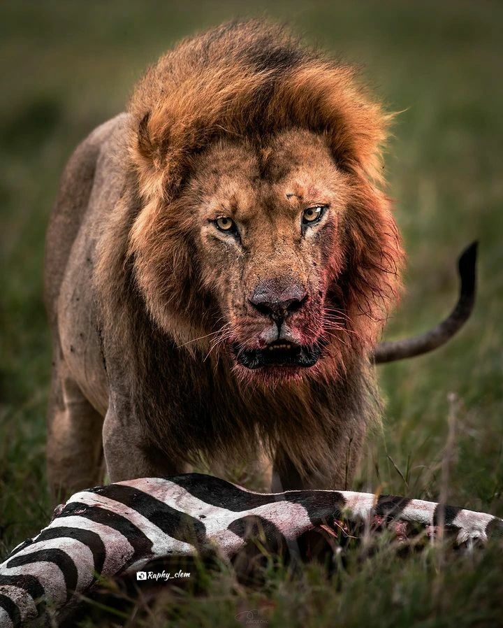 EPIC ADVENTURE CO.LTD