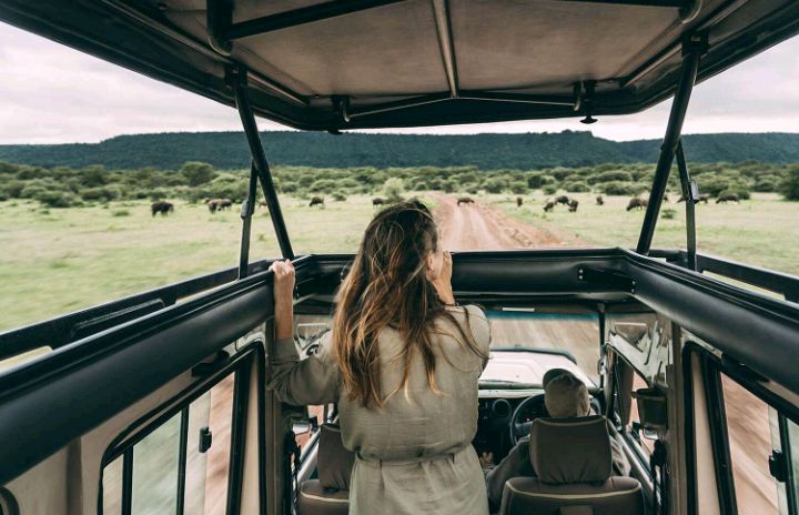 CUSHITES EXPEDITION LTD