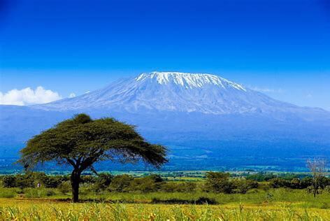 AFRICAN MASTERCLASS TOURS AND