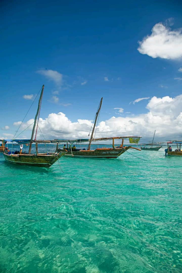 Safari Blue Zanzibar–Full Day