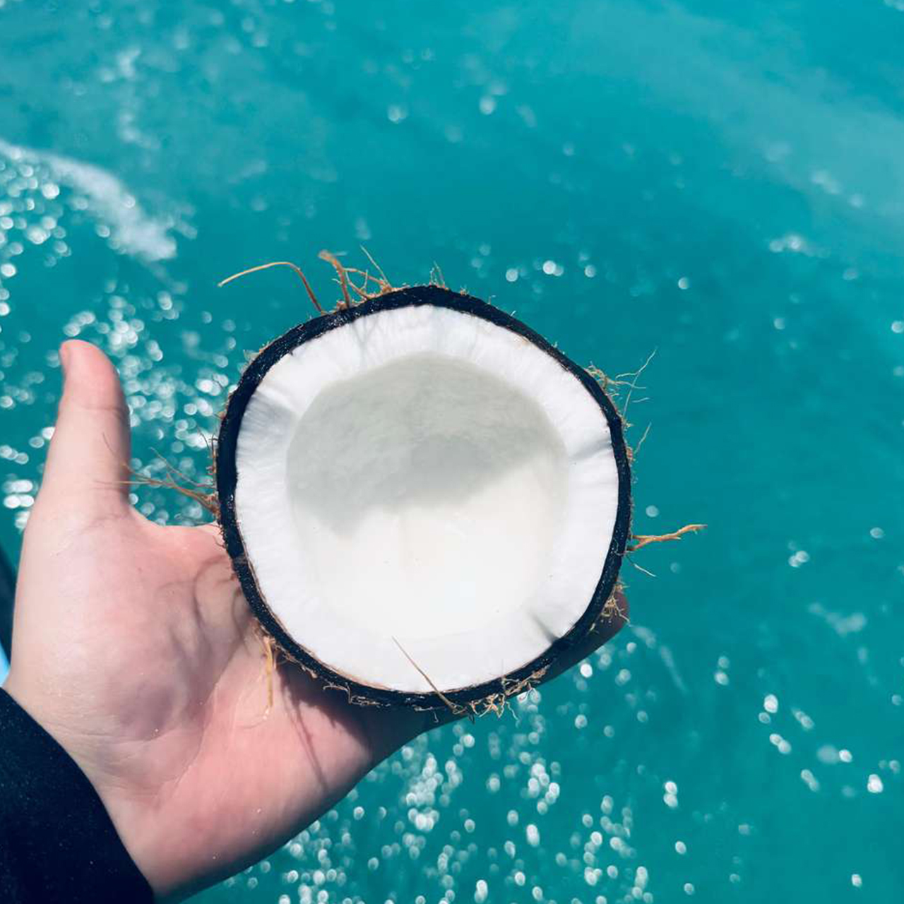 Safari Blue Zanzibar–Full Day