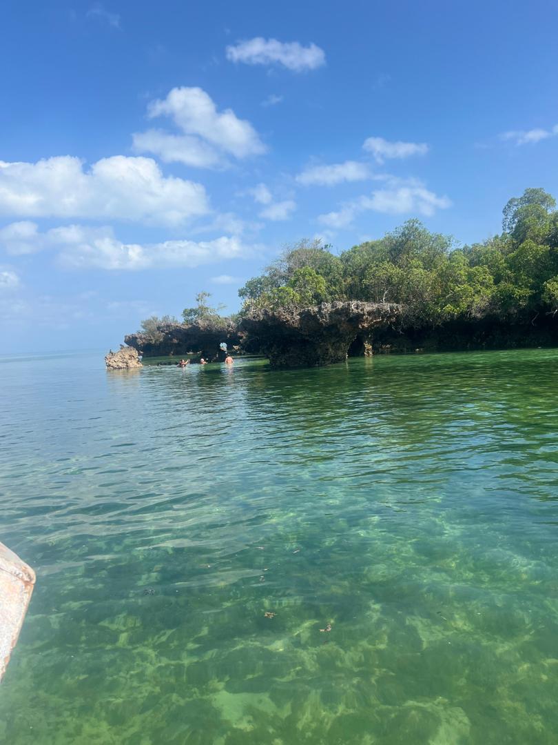 Safari Blue Zanzibar–Full Day