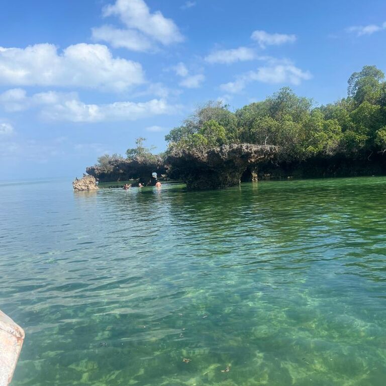 Safari Blue Zanzibar–Full Day