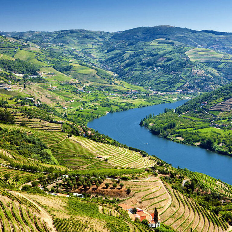 What to do in Portugal