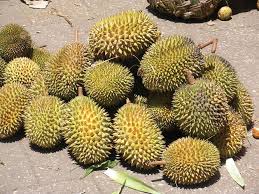 Zanzibar Spice tour