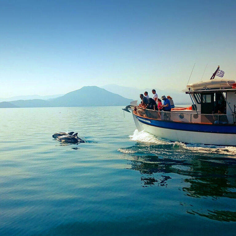 Amvrakikos Cruises