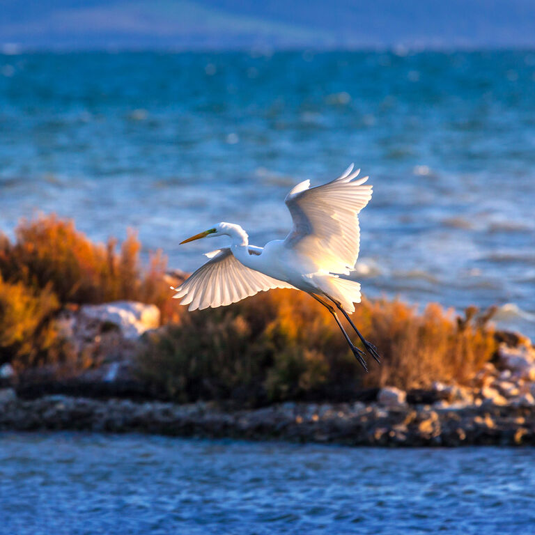 Amvrakikos Cruises