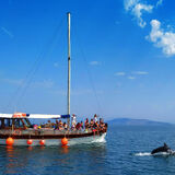 Amvrakikos Cruises